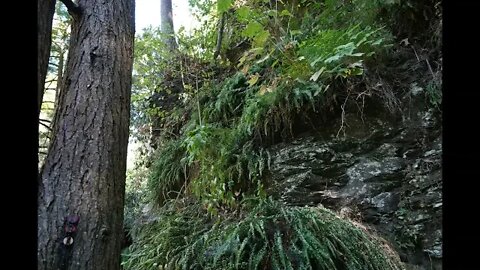 Bushkill Falls #hiking