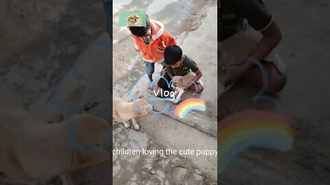 Love to puppy by children, #Shorts, #Puppy, #dog,#children #Animal