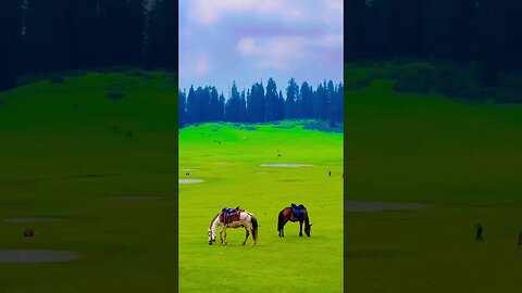 Kashmir | subscribe for more #shortvideos #travel #viralquote #viral #motivation #shortvideos