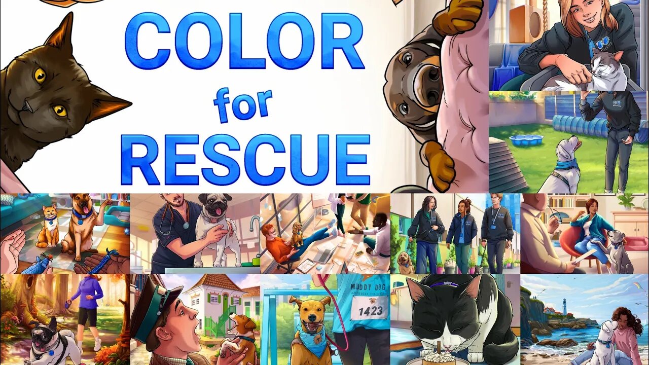 COLOR FOR RESCUE #colorbynumber #shorts