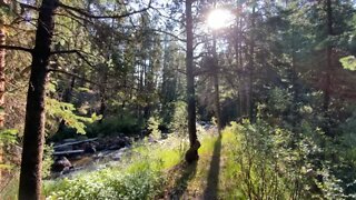 Colorado stream