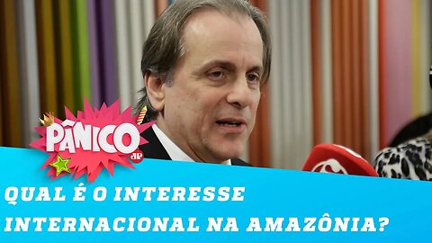 Os europeus estão ameaçando a SOBERANIA NACIONAL na questão da Amazônia?