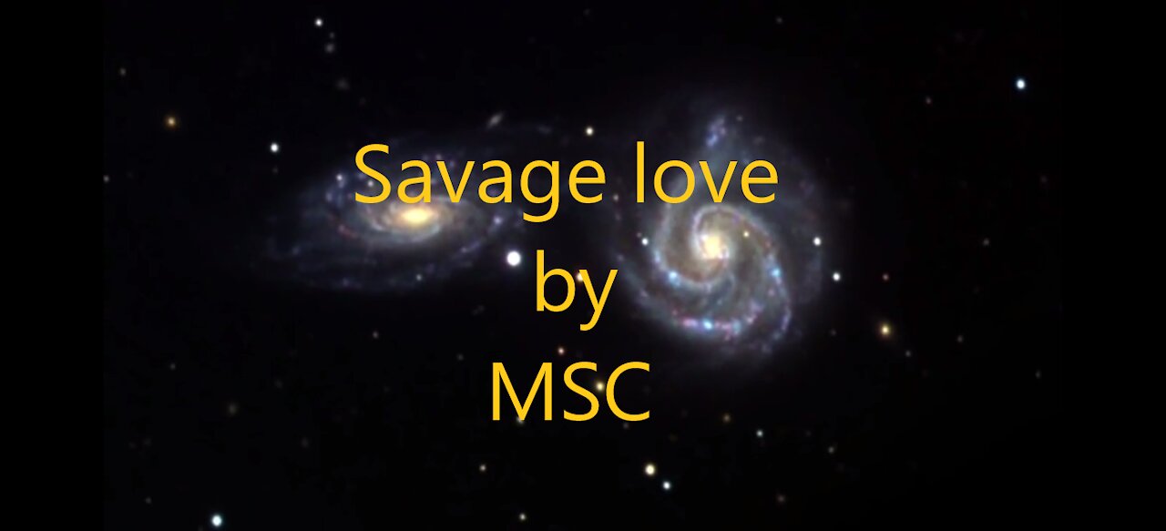 Savage love by MSC