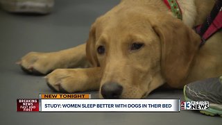 Study: Women sleep better with dogs by their side