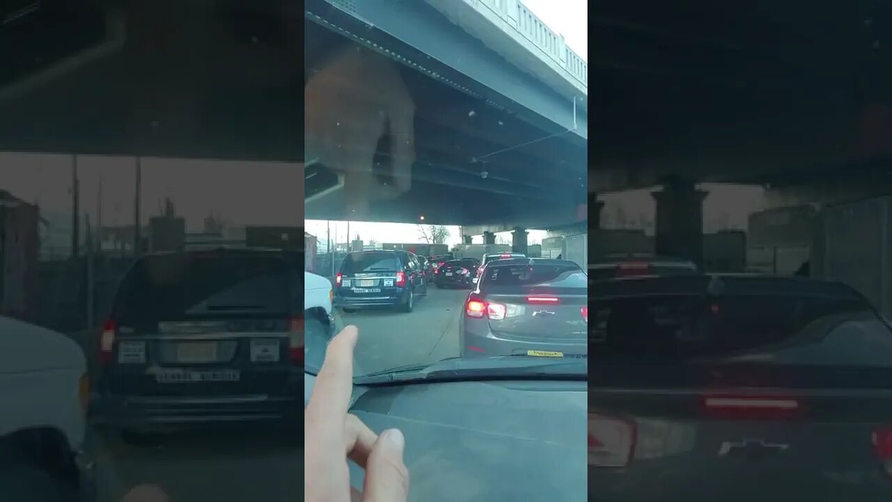 idiots in the city