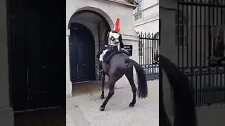 Horse scared by protest female kings guard bring the Horse under control #horseguardsparade