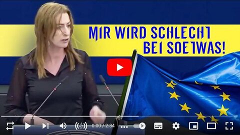 ES GIBT NOCH MUTIGE POLITIKER IM EUROPÄISCHEN PARLAMENT