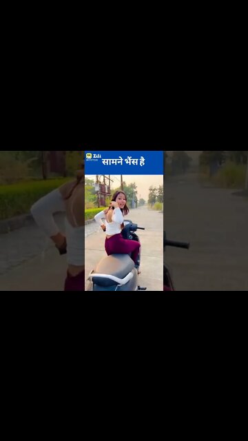 comedy video, funy status video, Zili funny video 2022, comedy video movie, comedy video hindi