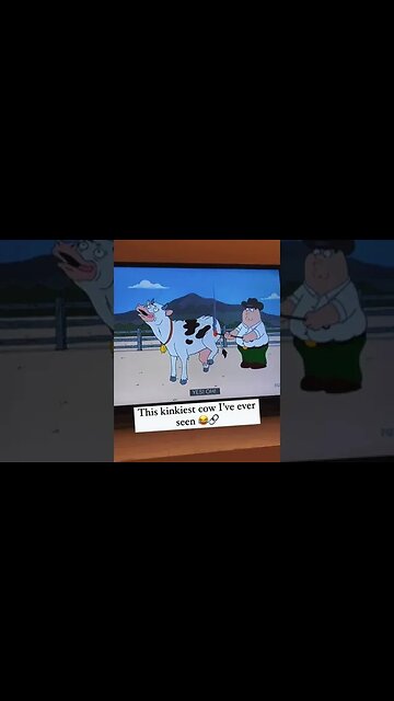FUNNY FAMILY GUY MEME VIDEO | RANDOM ROADHOUSE