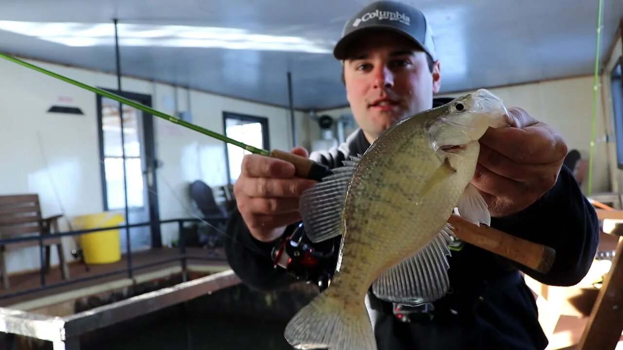 Crappie fishing a heated dock