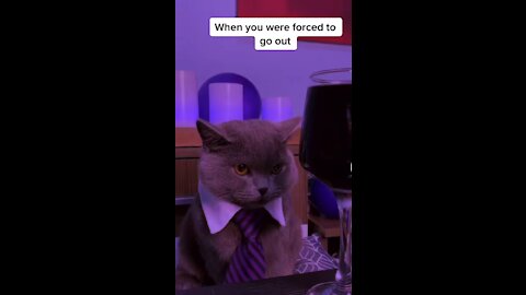 Poor cat
