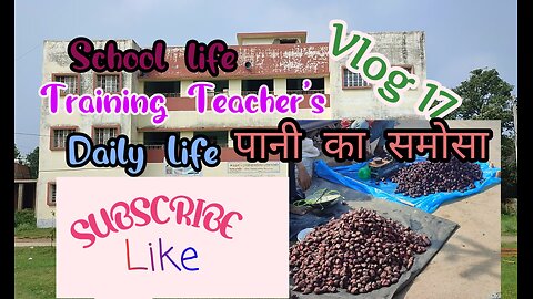 SCHOOL LIFE 🤗 Traning teacher B.Ed Blog 17 #trending #blogger #vlog #blog