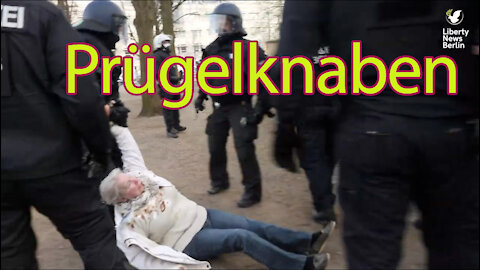 Mit Fäusten gegen die Demokratie – so brutal geht Berlins Polizei gegen Demonstranten vor