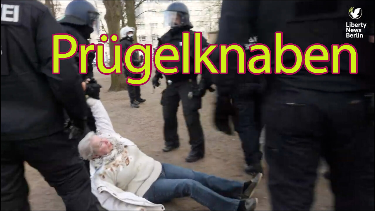 Mit Fäusten gegen die Demokratie – so brutal geht Berlins Polizei gegen Demonstranten vor