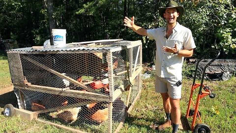 1st Year Permaculture Market Farm
