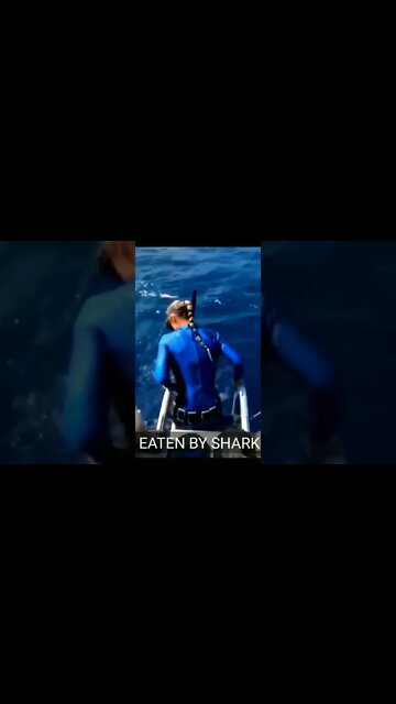 Aggresive Sharks attack