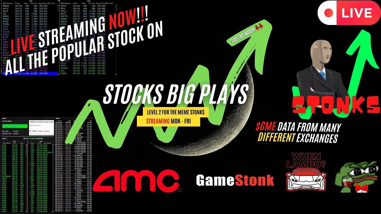 🔴 Stocks Level2/DeepBook 🚀🏴‍☠️( #SPY #BABA #GME #BBBY #LI #TSLA & #AMC ) Feb 27, 2024