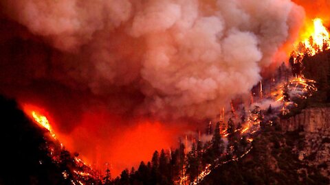 How to Survive a Wildfire