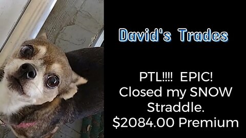 Praise the LORD, WOW! $2084.00 from Straddle placed 2 days ago on SNOW. Rolled NIO for $132. more.