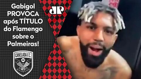 QUE MARRA! Gabigol PROVOCA após Flamengo ser CAMPEÃO sobre o Palmeiras!