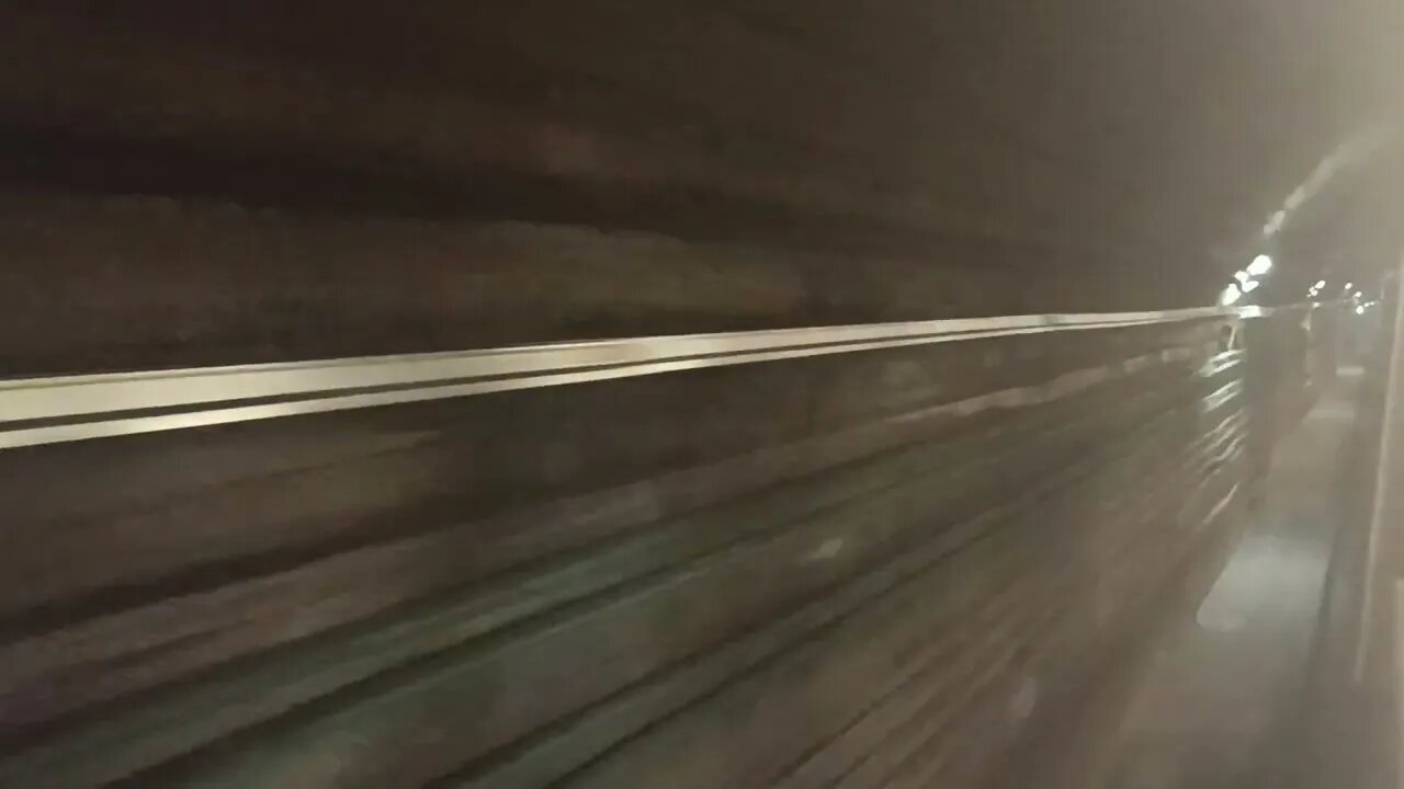 Metro de Buenos Aires: Línea D, estación Carranza.