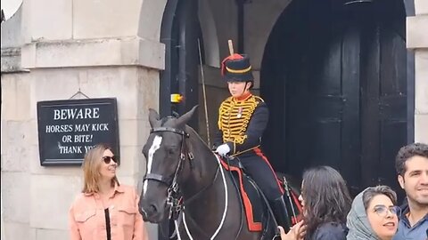 Don't touch the reins kings troop shouts at tourist #horseguardsparade