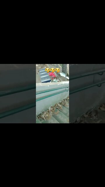 encontrei um corpo na praça!!