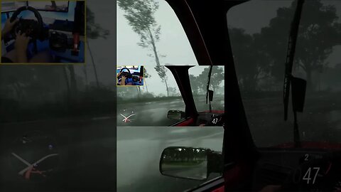 Fugindo da tempestade Peugeot 205