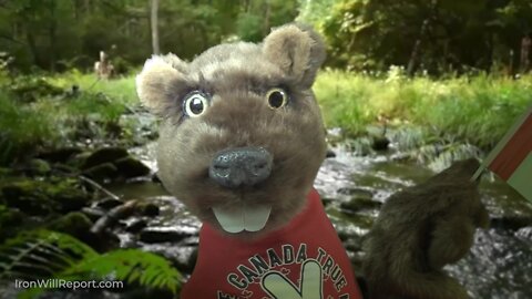 Reggie says WTF Canada?