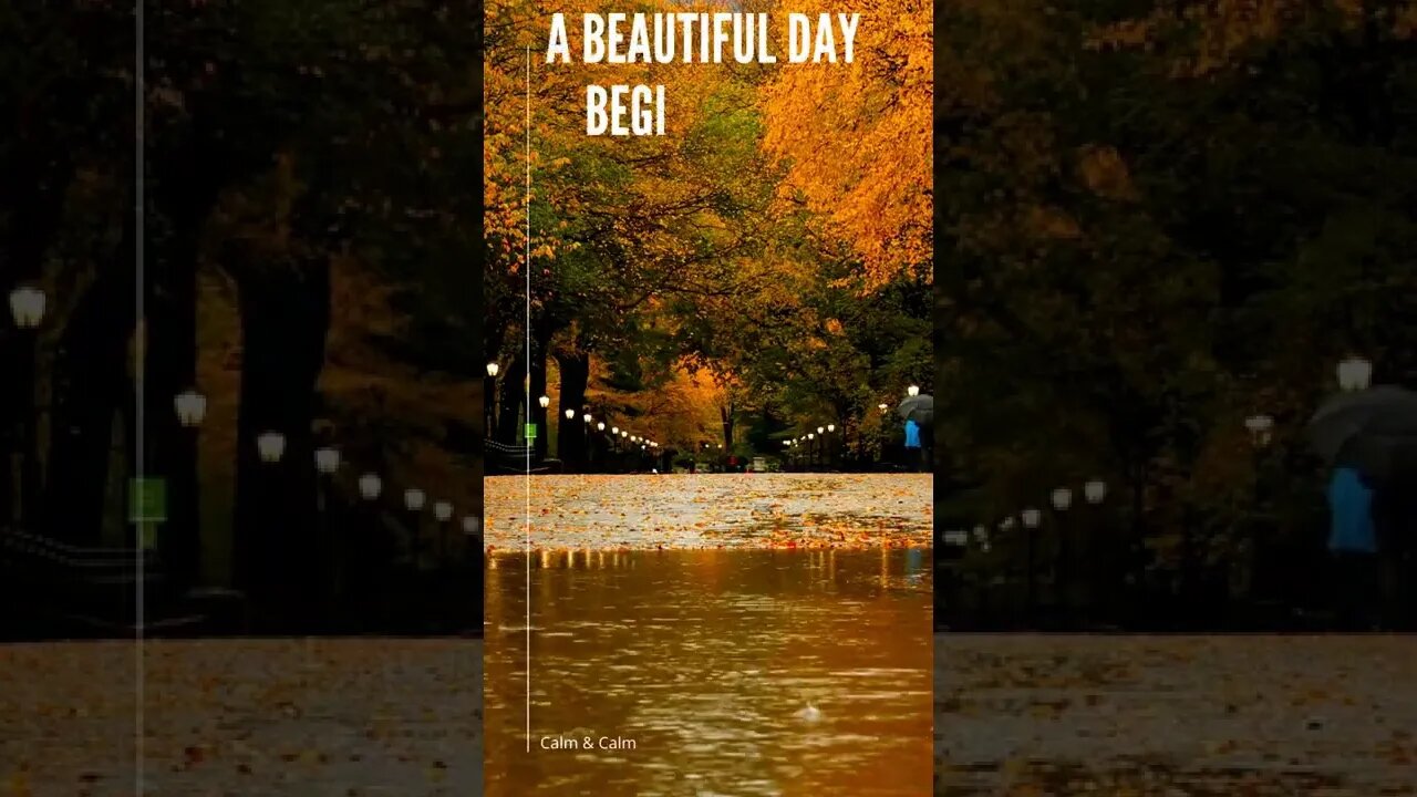 A beautiful day ... #morningvibes #motivational #quotes
