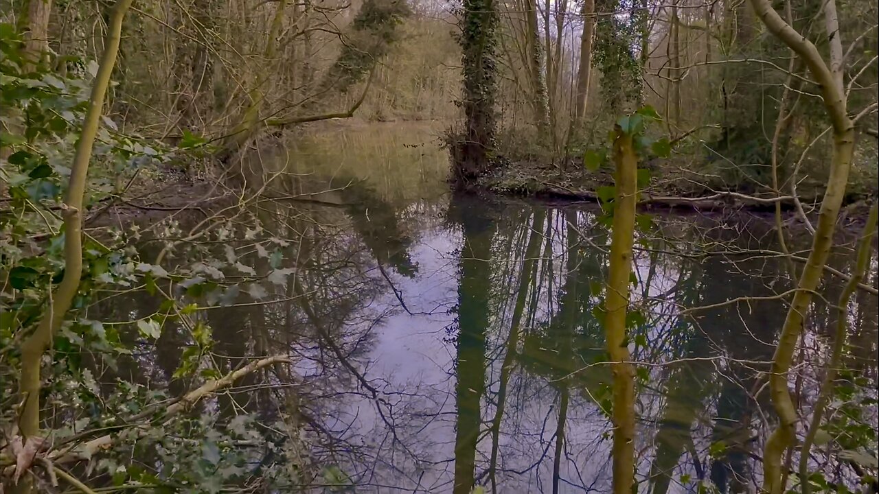 Took a stroll by a reservoir