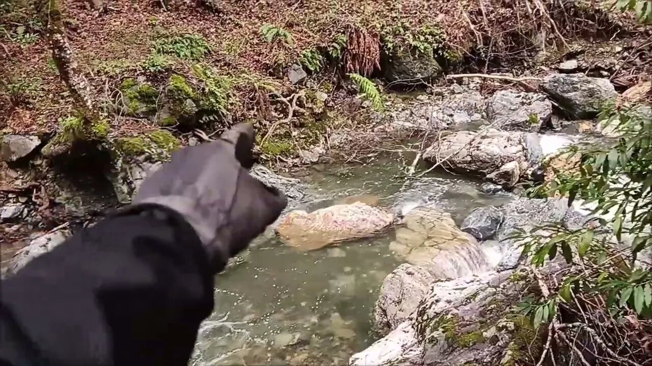 Stevens Canyon Land Slide, Tectonic Block?, Part 2