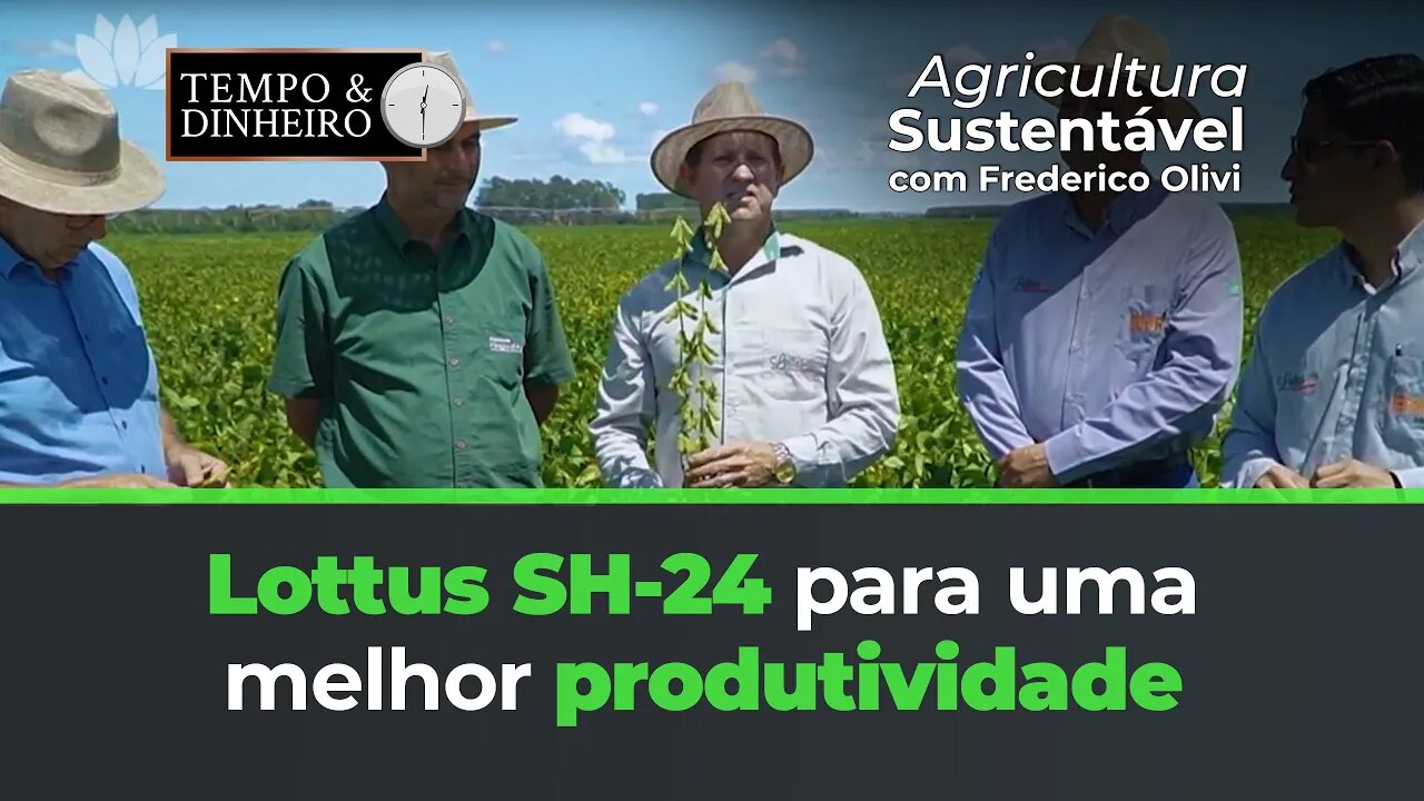 Lottus SH-24 para uma melhor produtividade