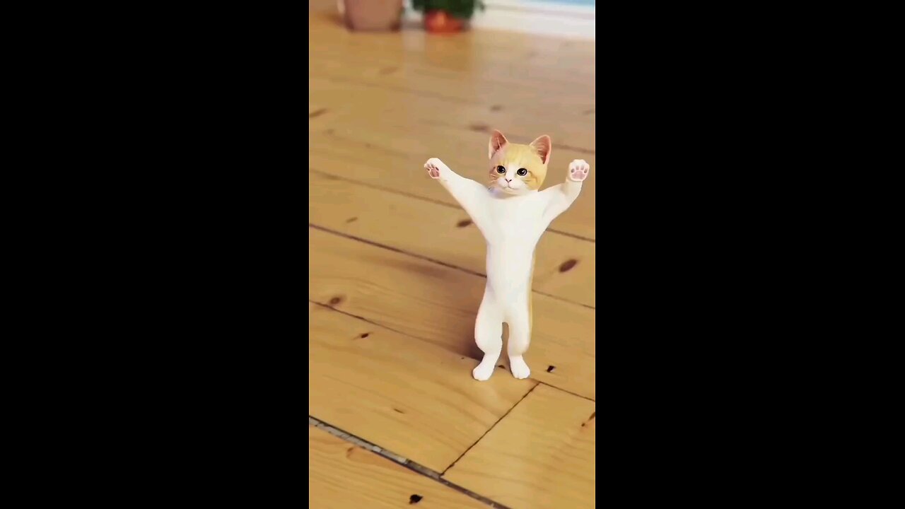 dancing cute funny cat