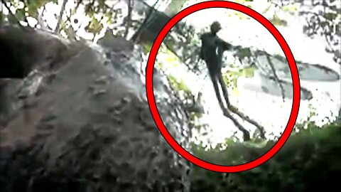 5 Mysterious Creatures Caught on Camera