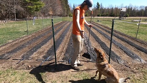 Spring?! In Maine?! Come prep the farm with us!