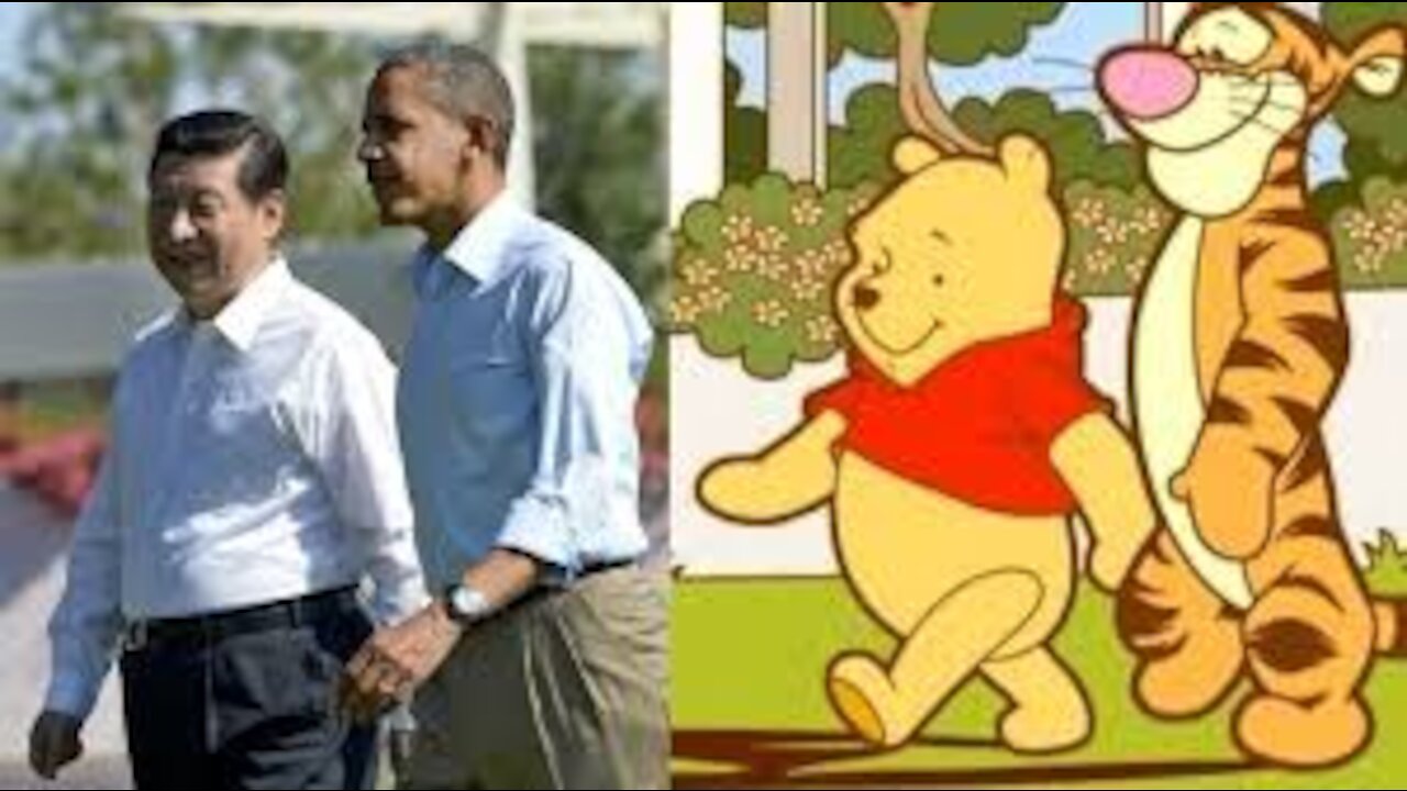 Winnie the Pooh Protests