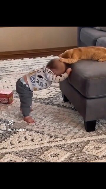 "Baby and Cat: Playful Moments and Mischievous Fights"