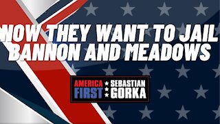 Now they want to Jail Bannon and Meadows. Sean Davis with Sebastian Gorka on AMERICA First