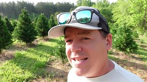 Christmas Tree Farm Spring Time MUST DO Farm Chores