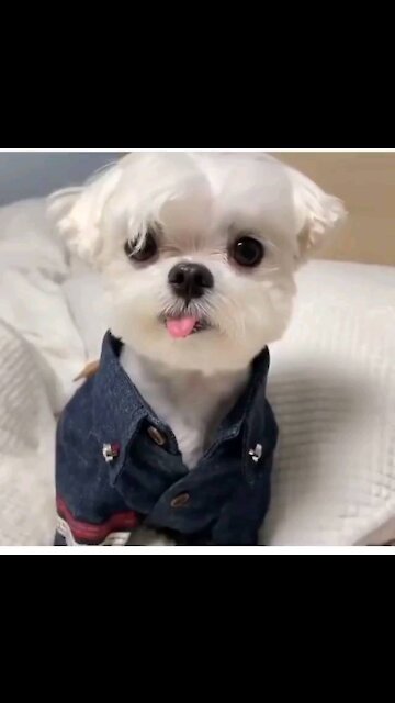 My beautiful doll😍😍