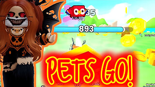 Pets Go Inferno Update Livestream