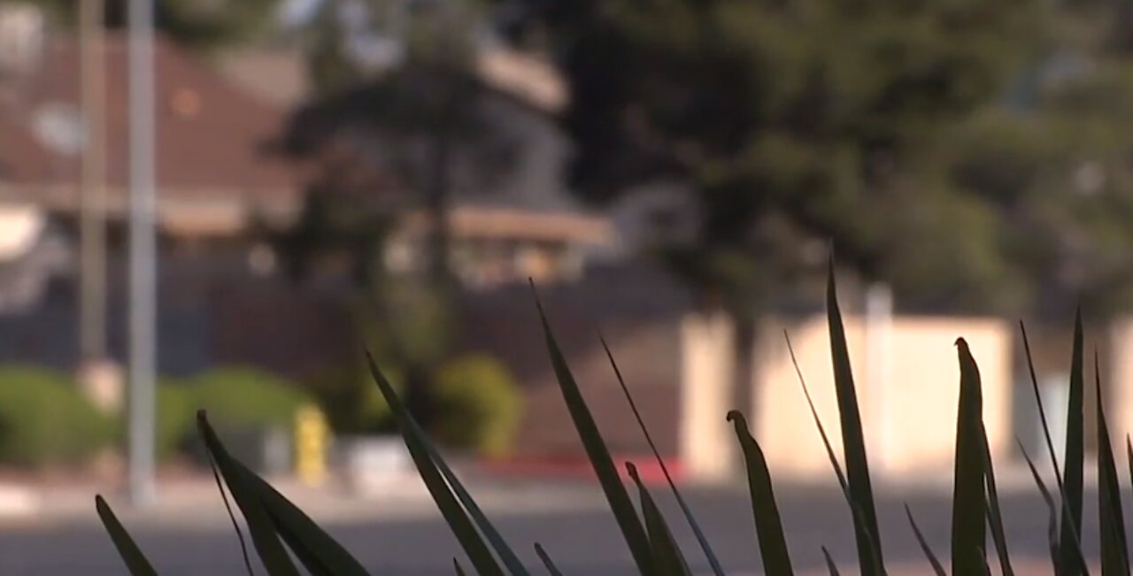 Earth Day continues to bring light to environmental issues