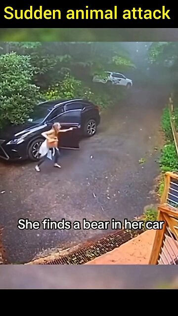 A surprise animal assault will astonish you 😱