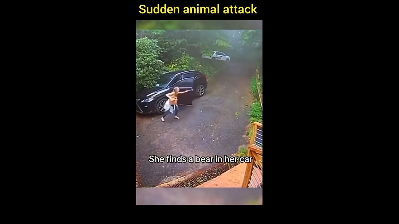 A surprise animal assault will astonish you 😱