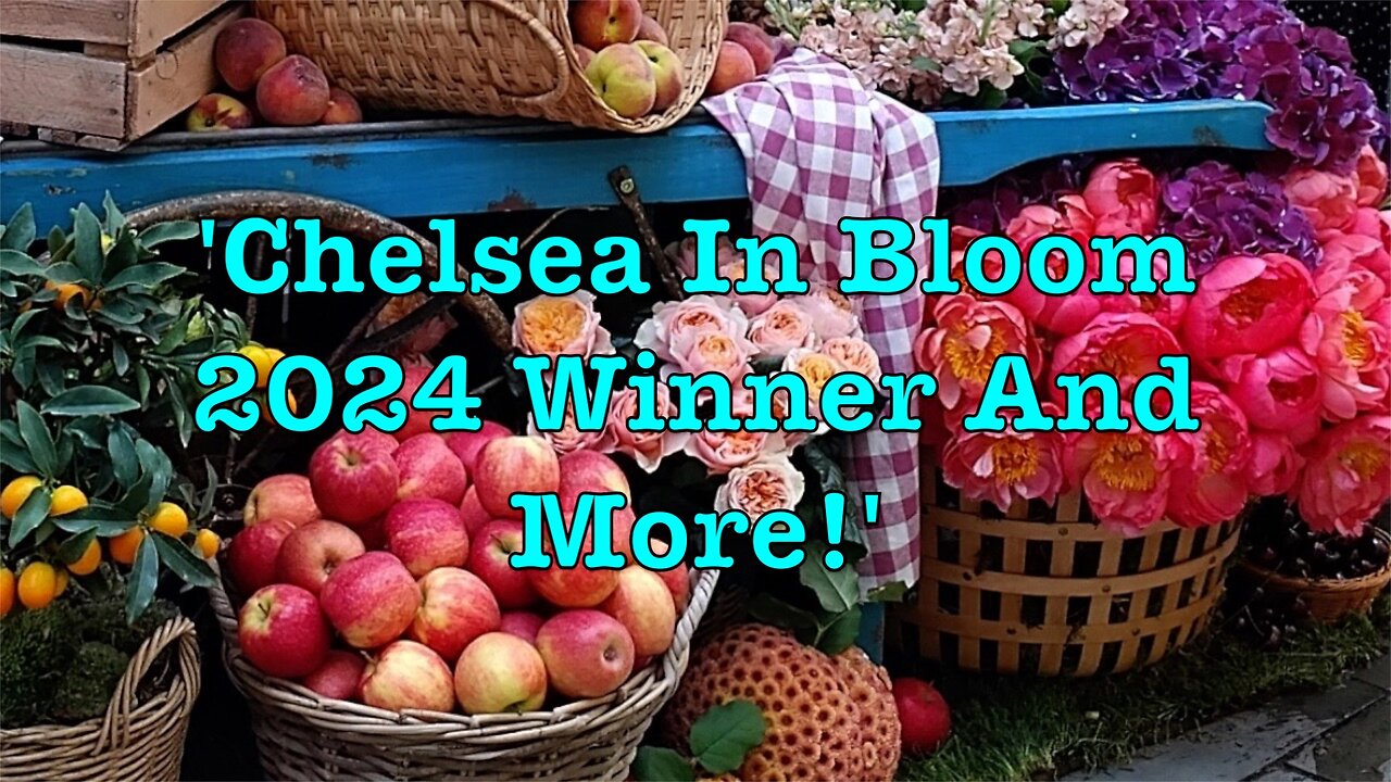 'CHELSEA IN BLOOM 2024 WINNER!' & 'A LOCAL STROLL TO PIMLICO BLOOM, CHEYNE WALK, AND BACK'