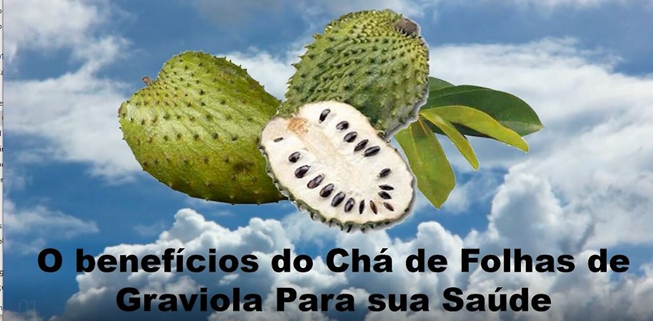 O benefícios do Chá de Folhas de Graviola Para sua Saúde