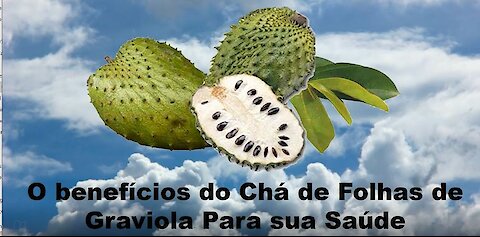 O benefícios do Chá de Folhas de Graviola Para sua Saúde