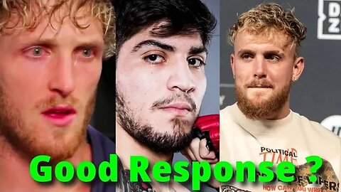 Jake Paul Responds to Logan Paul & Dillon Danis & it's as Expected