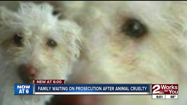 Family waiting for prosecution after animal cruelty incident